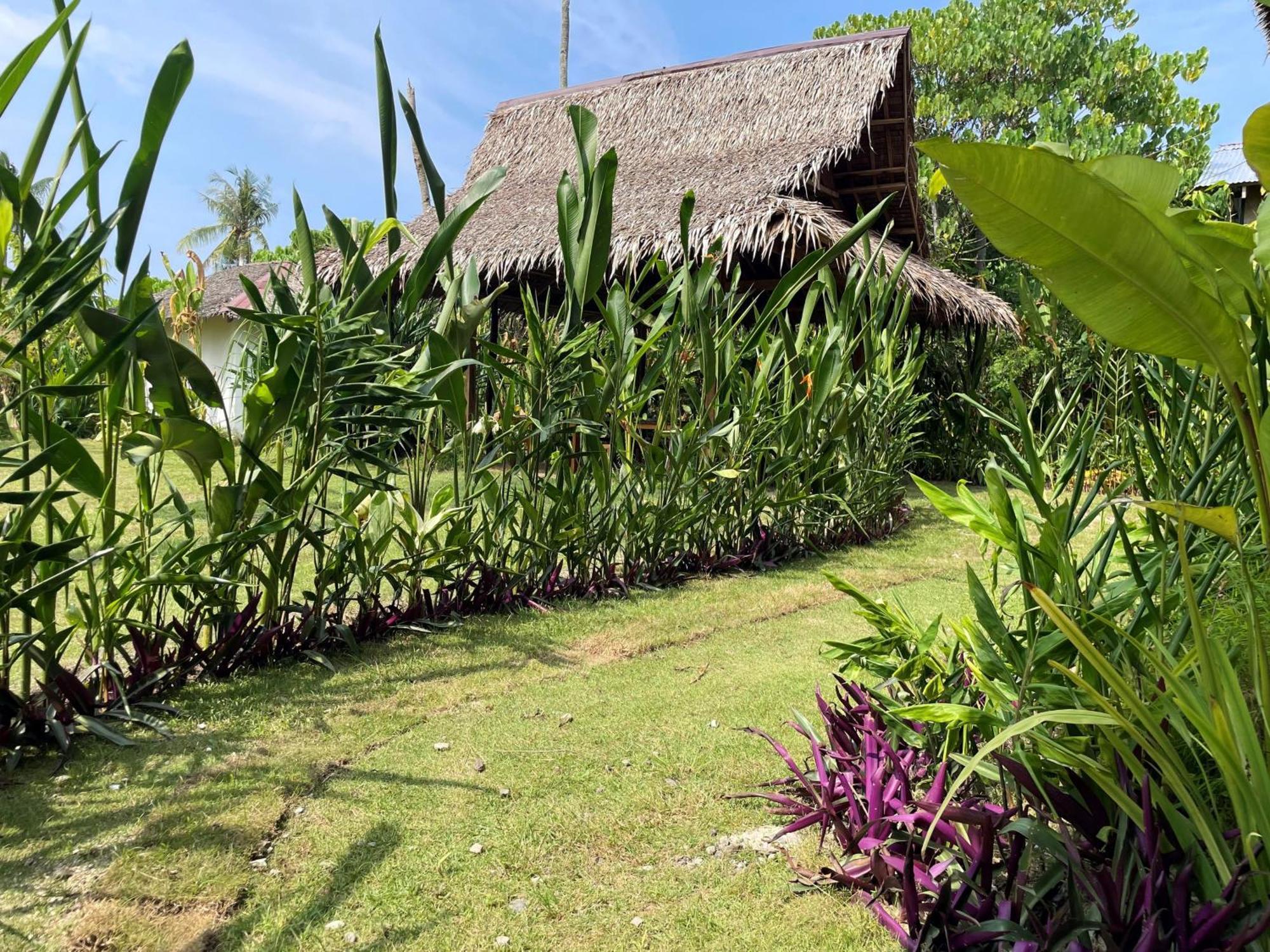Siargao Sunflower Suites جنرال لونا المظهر الخارجي الصورة